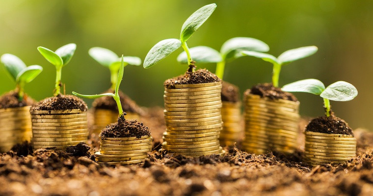 Microfinance